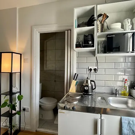 Fulham Studio Flat Londen Buitenkant foto